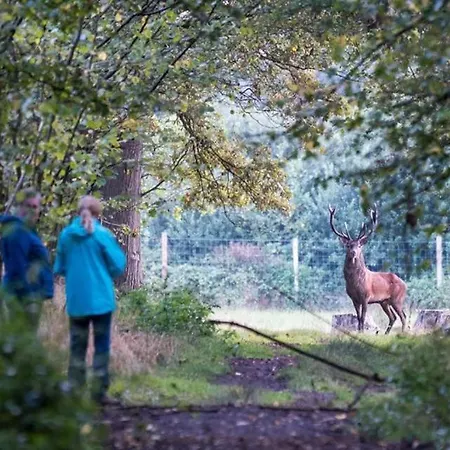 Дом отдыха Cultuurlogies Looeind *