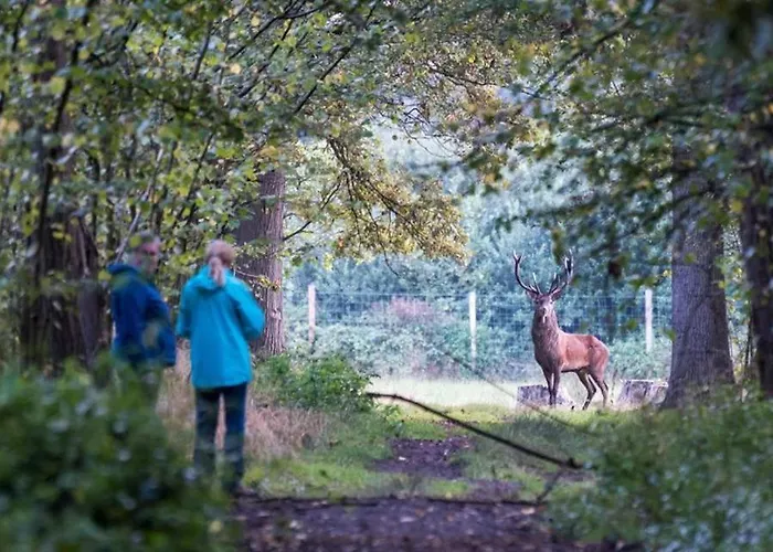 Holiday home Cultuurlogies Looeind *